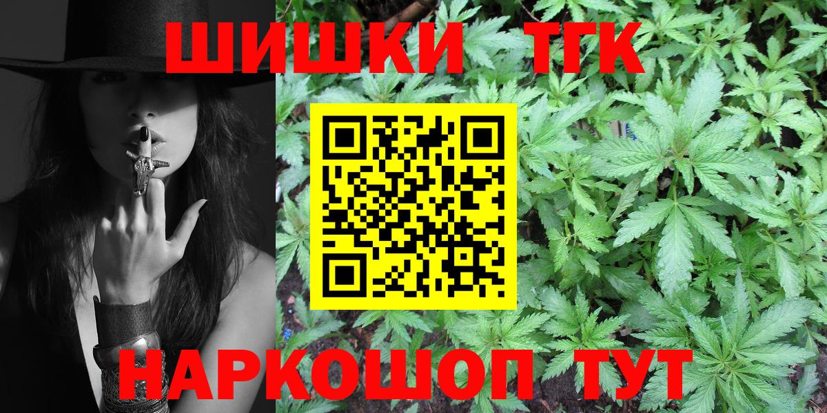 Бошки Шишки план Курчалой